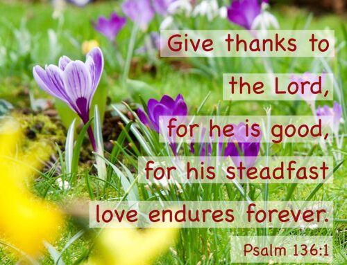 Give Thanks to the Lord for He is Good
