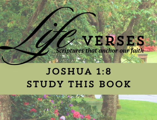 Life Verses: Study This Book