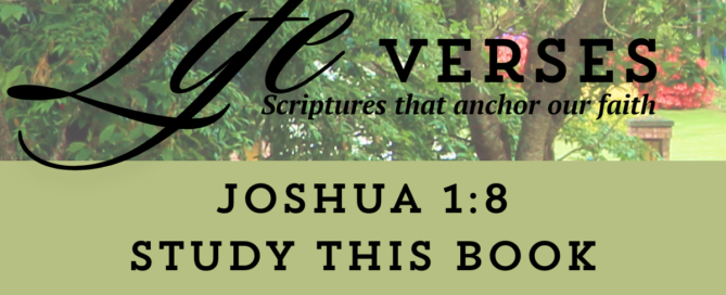 Joshua 1:8 Study this Book