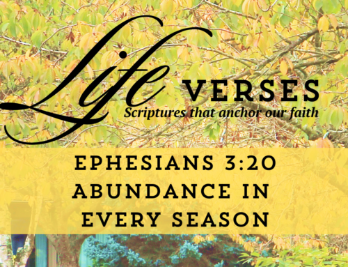 Life Verses: Abundance in Every Season