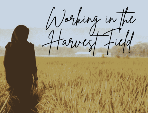 Working in the Harvest Field