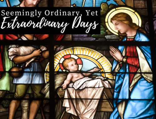 Seemingly Ordinary, Yet Extraordinary Days